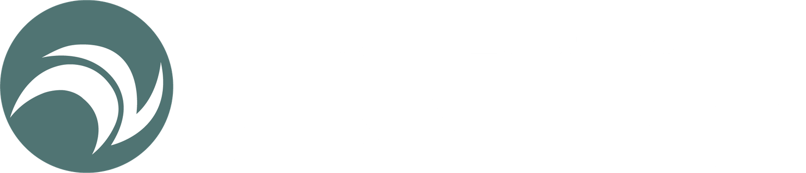 VoxMundi